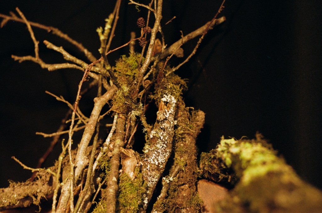 Lych [In Development]